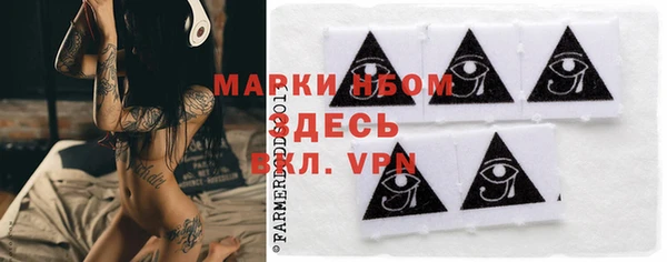 ПСИЛОЦИБИНОВЫЕ ГРИБЫ Гусев