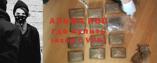 ПСИЛОЦИБИНОВЫЕ ГРИБЫ Гусев