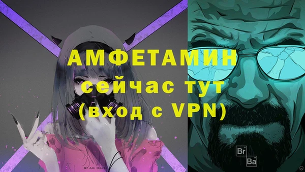 ПСИЛОЦИБИНОВЫЕ ГРИБЫ Гусев